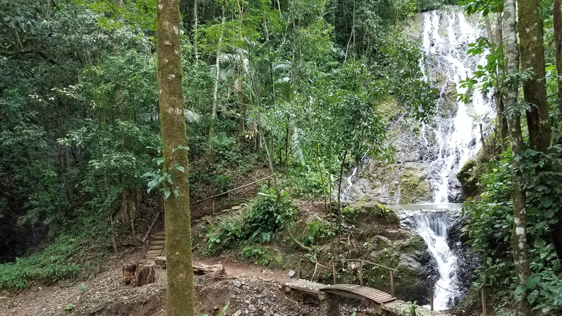 ¡Casas Geniales Alquilarse en Costa Rica!