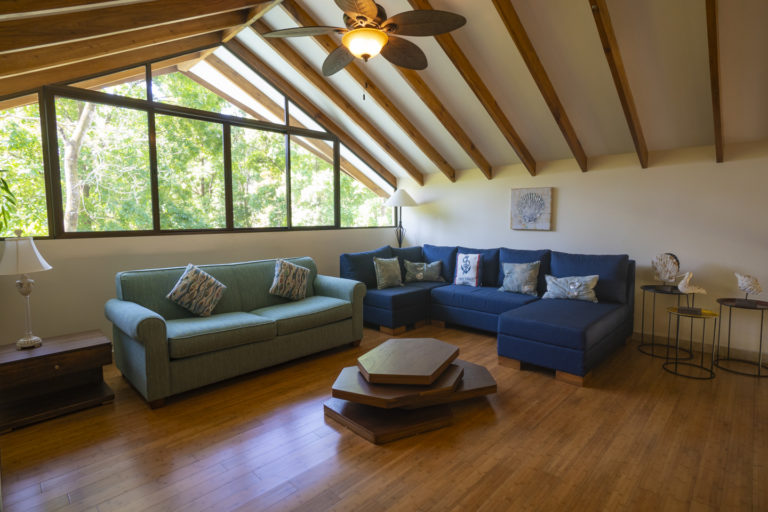 Large Loft with sleeper and sectional sofas